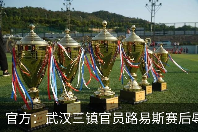 官方：武汉三镇官员路易斯赛后辱骂裁判员，被禁赛5场并罚款5万元
